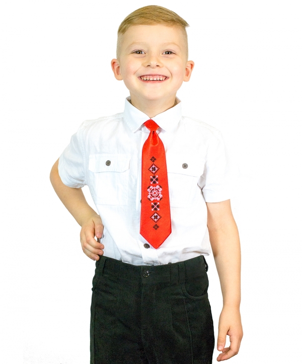 Купити Дитячий галстук з вишивкою НАШI РEЧI (Nashi Rechi)